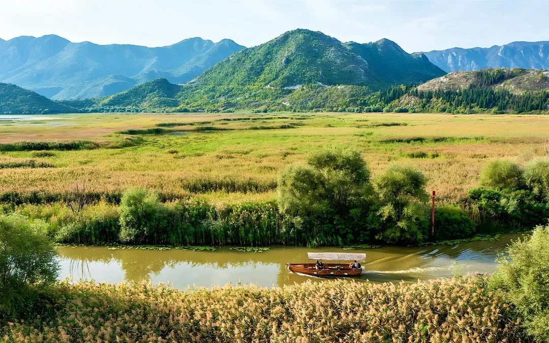  From Virpazar: Lake Skadar Sightseeing Boat Tour with Drinks
 Image 6