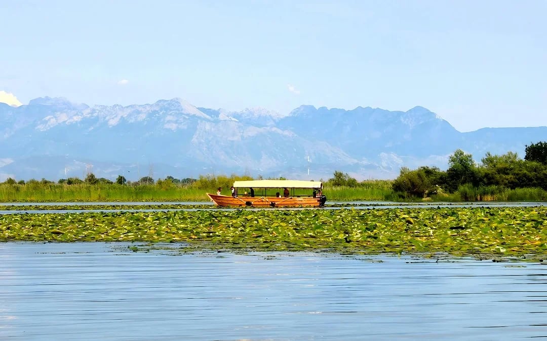 From Virpazar: Lake Skadar Sightseeing Boat Tour with Drinks
Image 7