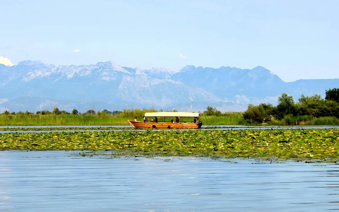  From Virpazar: Lake Skadar Sightseeing Boat Tour with Drinks
 Image 7