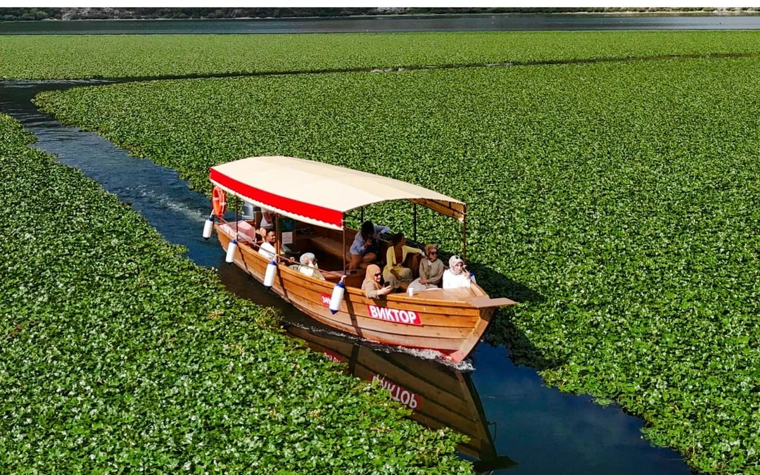 From Virpazar: Skadar Lake National Park Guided Boat Tour with Drinks Image 1