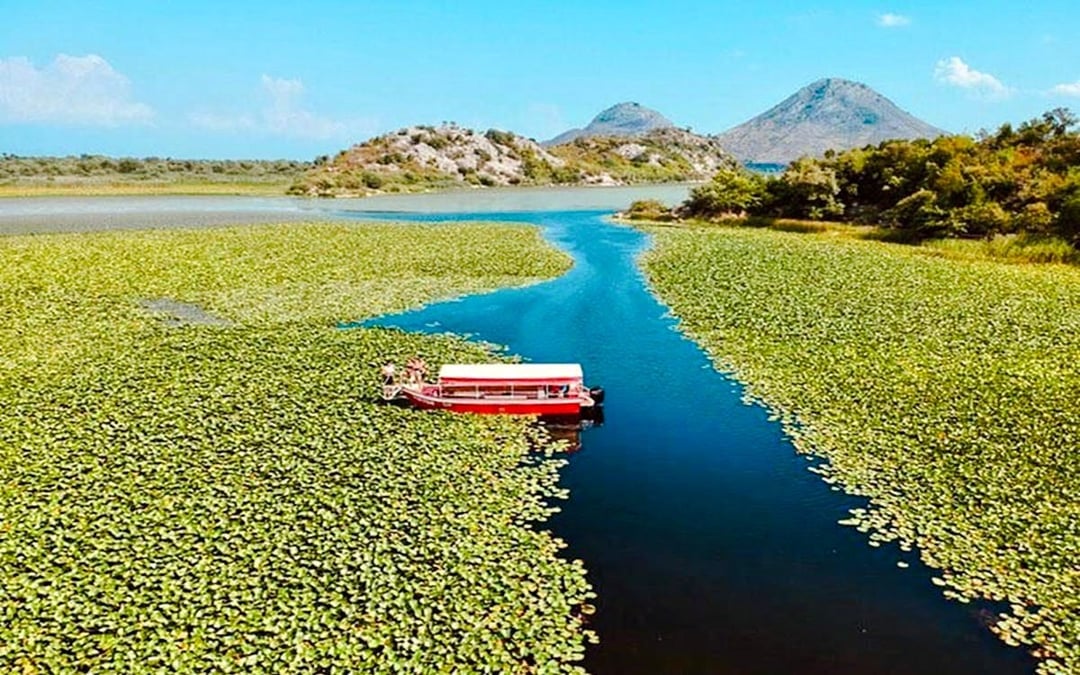 From Virpazar: Skadar Lake National Park Guided Boat Tour with Drinks Image 6
