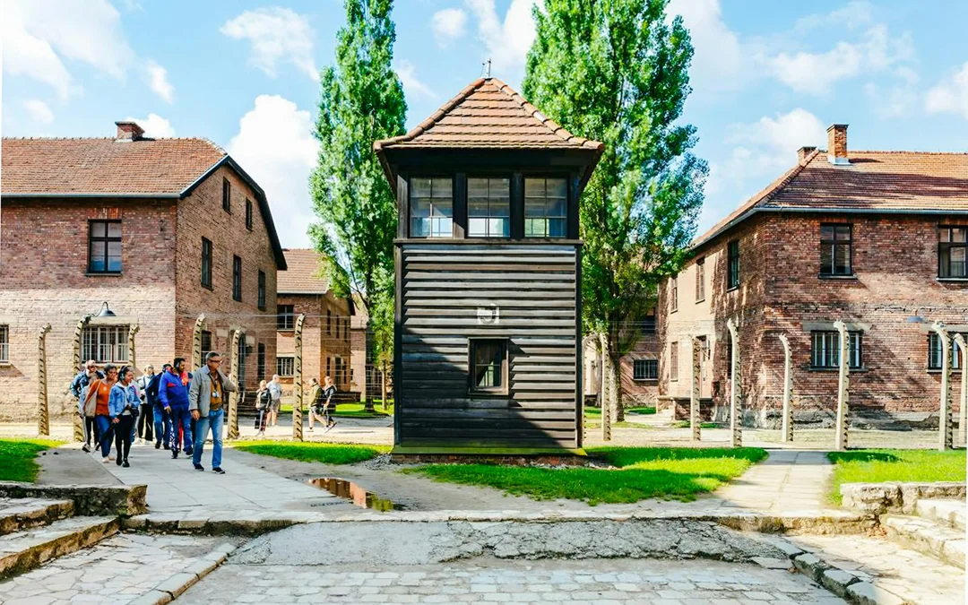From Warsaw: Auschwitz-Birkenau Guided Tour with Transfers Image 2
