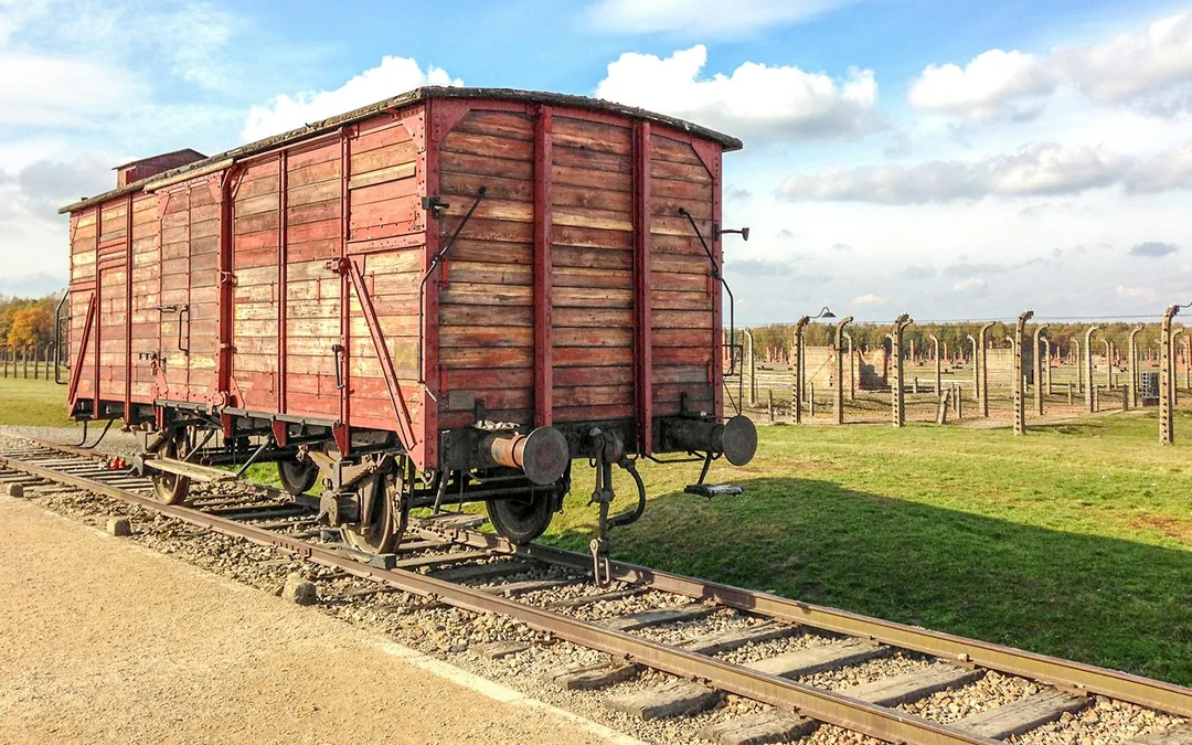 From Warsaw: Auschwitz-Birkenau Guided Tour with Transfers Image 9