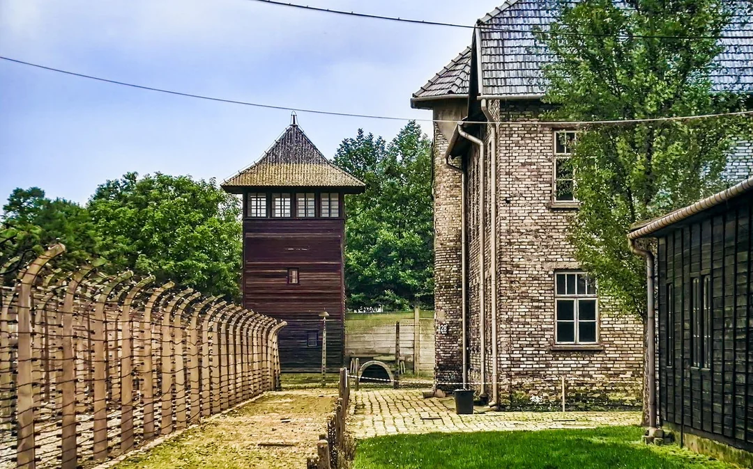 From Warsaw: Auschwitz-Birkenau Tour with Premium Train Transportation Image 3