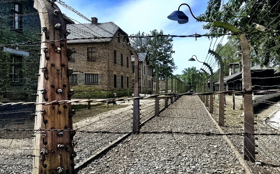 From Warsaw: Auschwitz-Birkenau Tour with Premium Train Transportation Image 4