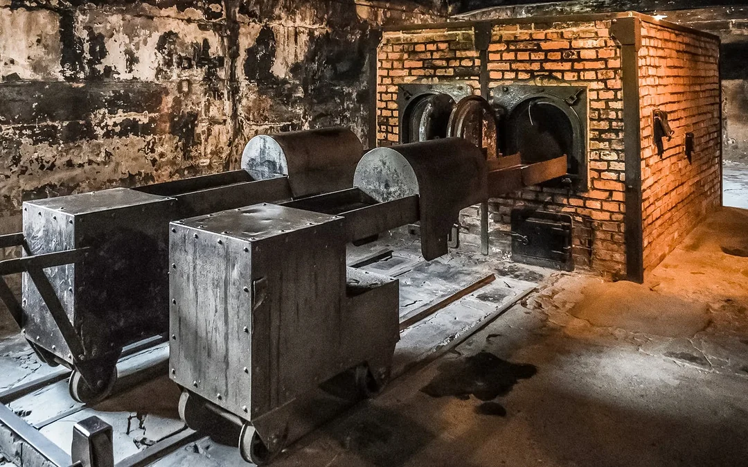 From Warsaw: Auschwitz-Birkenau Tour with Premium Train Transportation Image 5