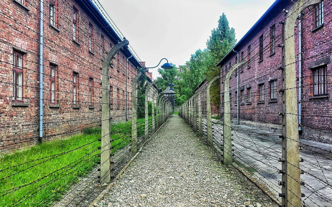 From Warsaw: Auschwitz-Birkenau Tour with Premium Train Transportation Image 10
