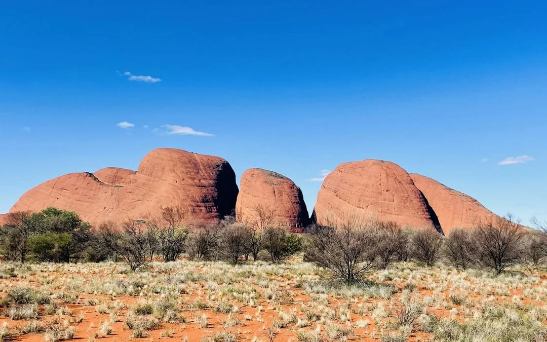 From Yulara/Ayers Rock: 2 Day Uluru & Kata Tjuta Outback Camping Adventure Tour Image 1