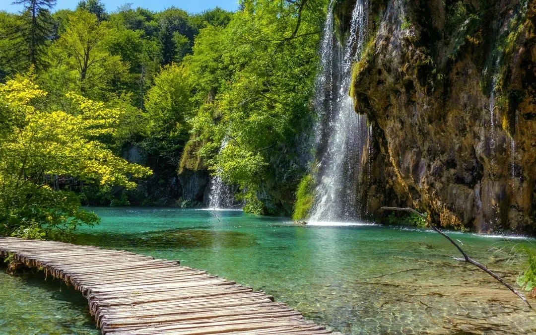 From Zadar: Full-Day Trip to Plitvice Lakes National Park Image 7