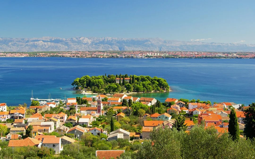 From Zadar: Guided Speedboat Cruise with Local Food, Wine Tasting & Snorkeling Image 8