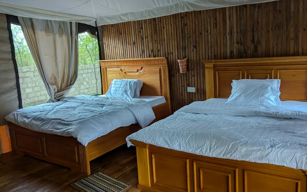 From Zanzibar: 4-Day Mikumi National Park Safari & Udzungwa Waterfall Hike Image 8