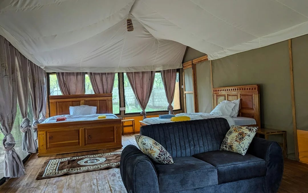 From Zanzibar: 4-Day Mikumi National Park Safari & Udzungwa Waterfall Hike Image 10