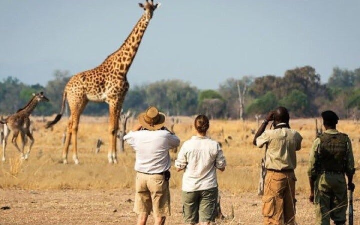 From Zanzibar: Selous/Nyerere National Park Fly-In Safari with Guided Game Drives and Bush Lunch Image 6