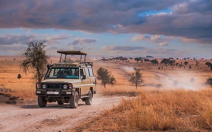 From Zanzibar: Selous/Nyerere National Park Fly-In Safari with Guided Game Drives and Bush Lunch Image 9