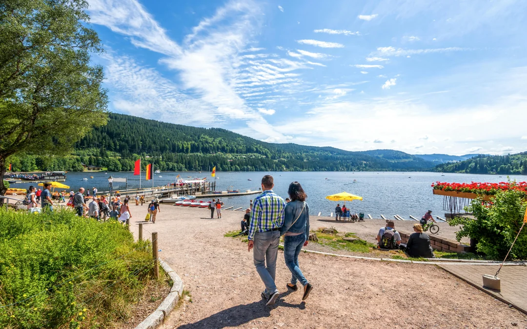 From Zürich: Day Trip to Rhine Falls & Stein am Rhein Image 5