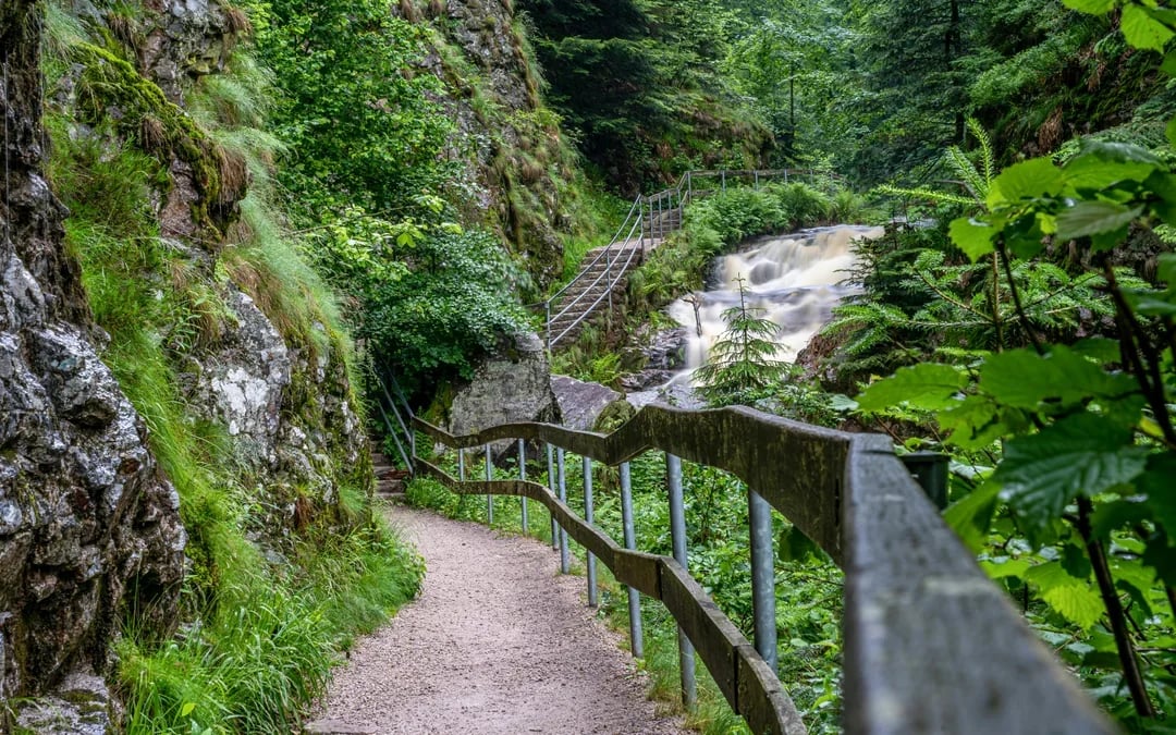 From Zürich: Day Trip to Rhine Falls & Stein am Rhein Image 8