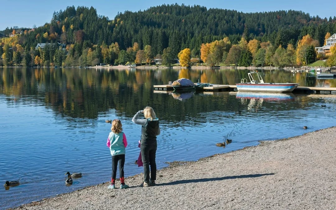 From Zürich: Day Trip to Rhine Falls & Stein am Rhein Image 10