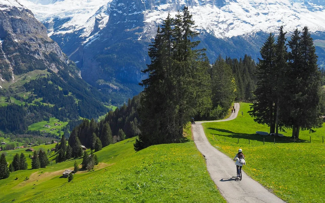 From Zürich: Grindelwald, Interlaken & Lauterbrunnen Day Trip Image 3