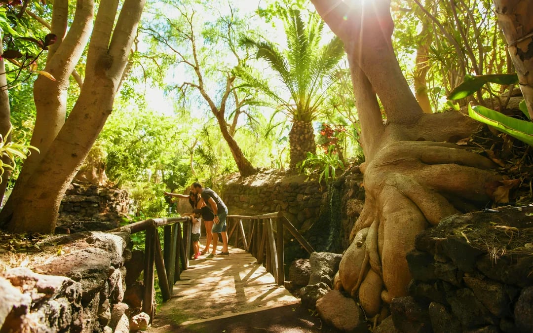 Fuerteventura: Oasis Wildlife Entry Ticket Image 11