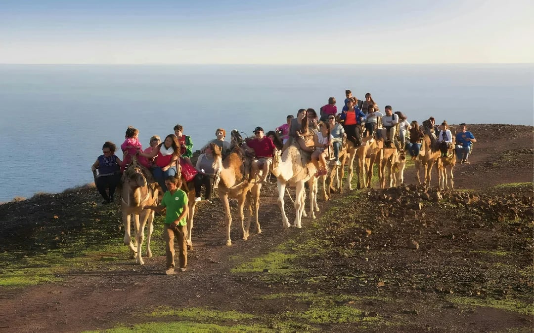 Fuerteventura: Oasis Wildlife Entry Ticket Image 3