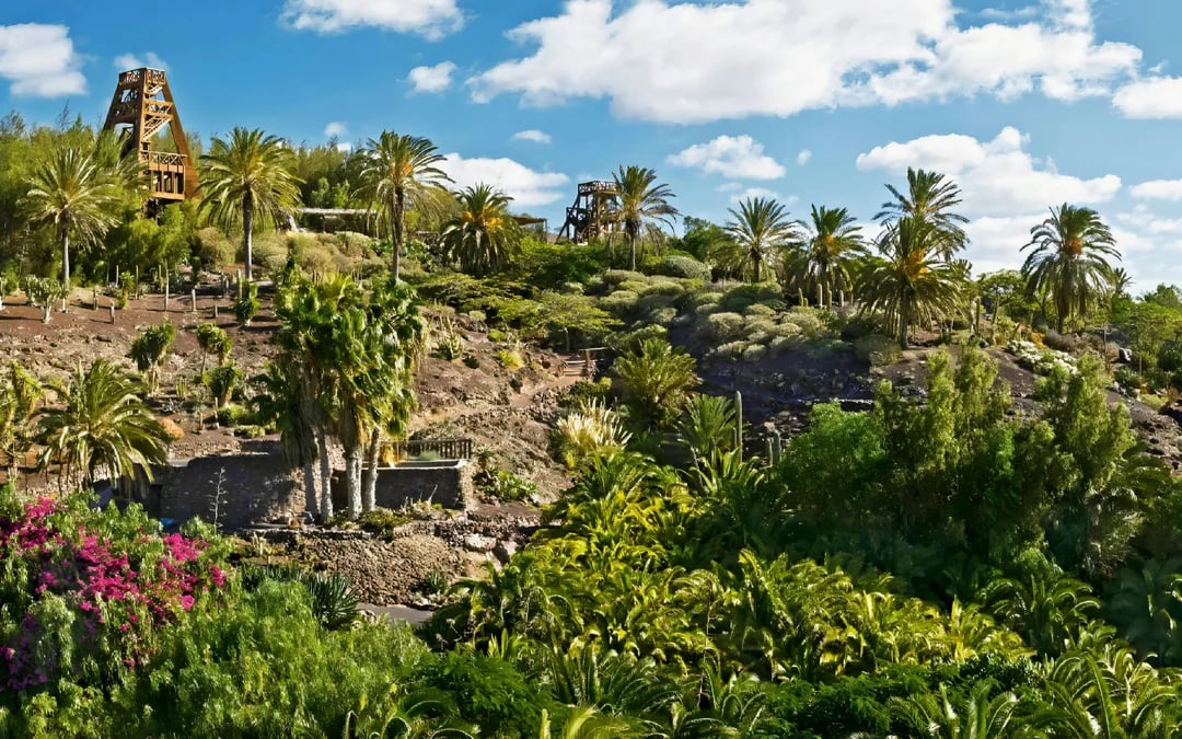 Fuerteventura: Oasis Wildlife Entry Ticket Image 4
