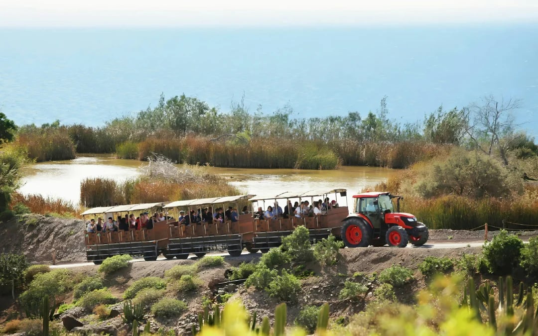Fuerteventura: Oasis Wildlife Entry Ticket Image 5