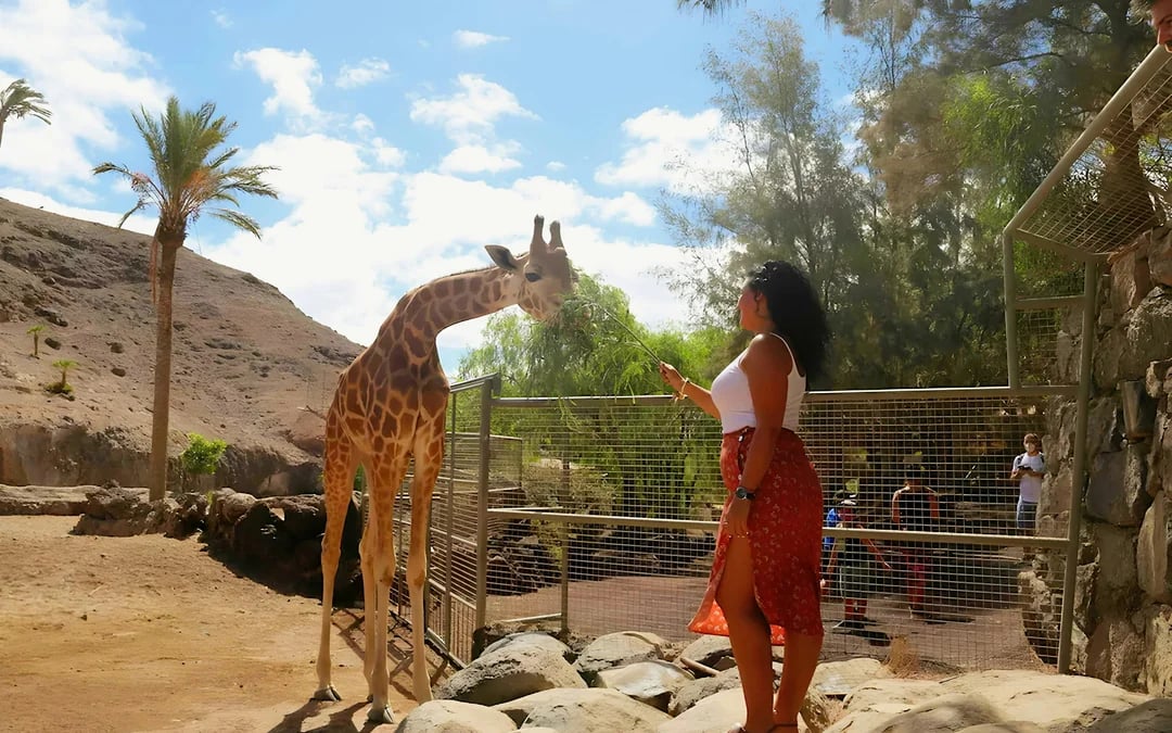 Fuerteventura: Oasis Wildlife Entry Ticket Image 7