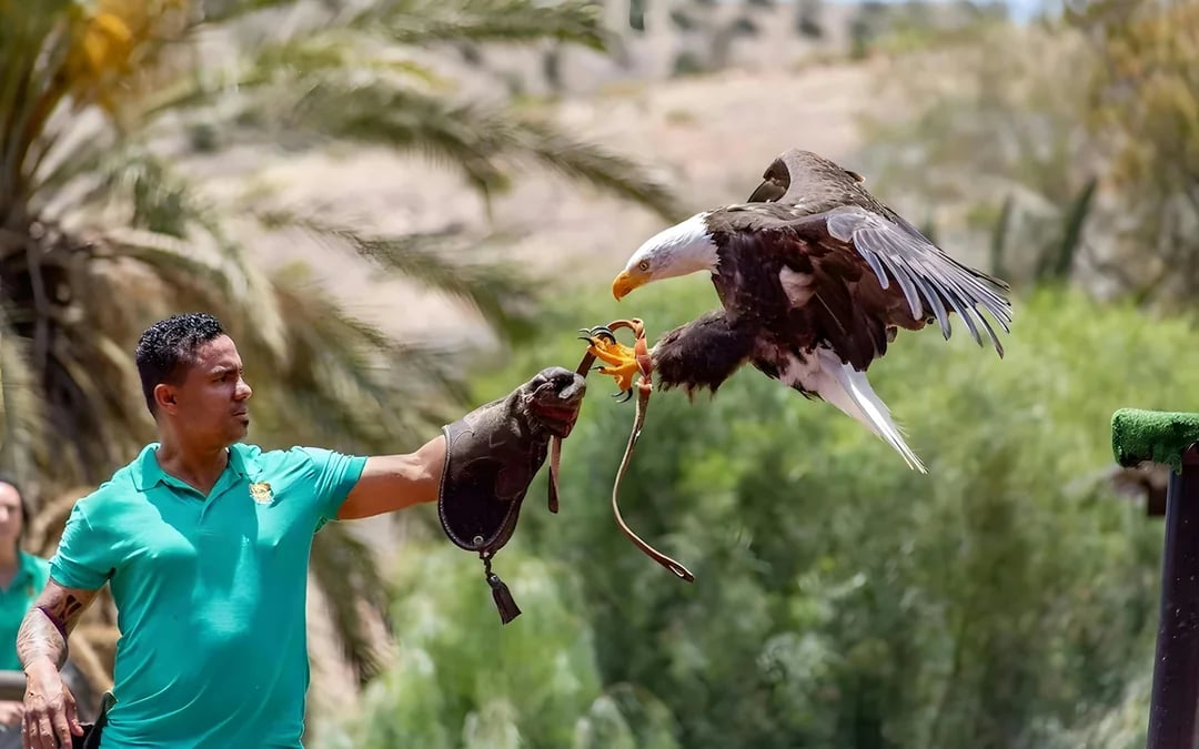 Fuerteventura: Oasis Wildlife Entry Ticket Image 8