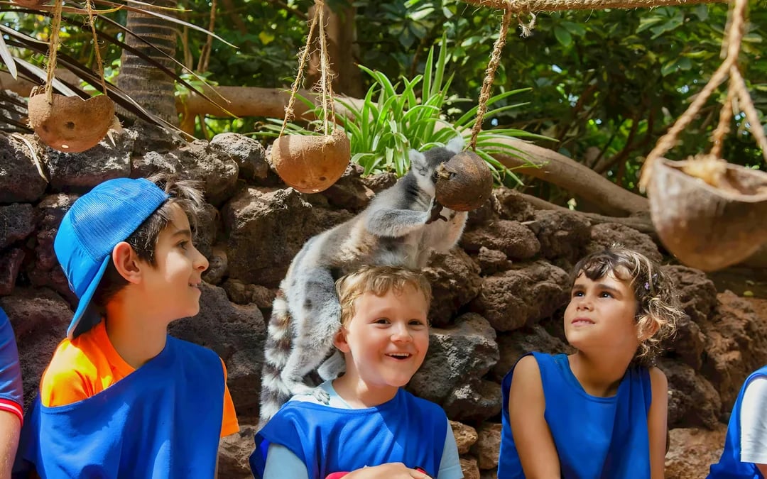 Fuerteventura: Oasis Wildlife Entry Ticket Image 10