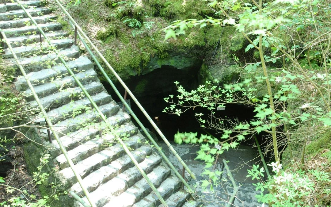 Fugaku Wind Cave Admission with Lake Kawaguchi “Appare” Cruise Ticket Image 2