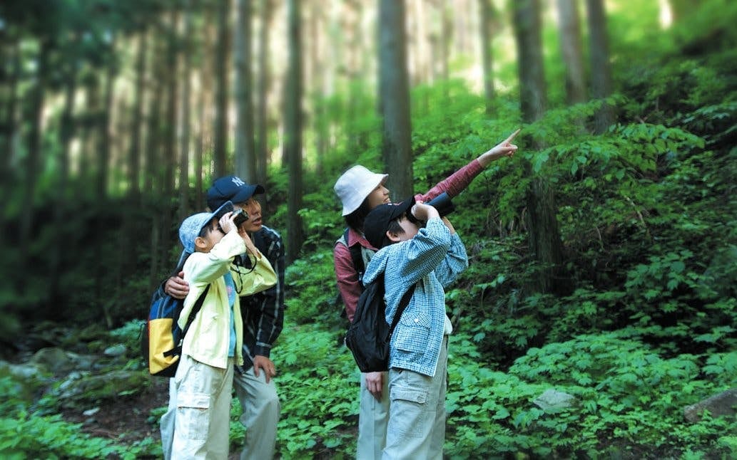 Fugaku Wind Cave Admission with Lake Kawaguchi “Appare” Cruise Ticket Image 4