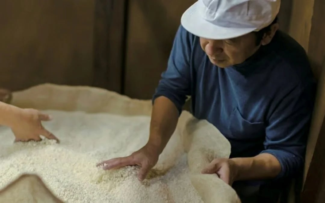 Fukui: Kubota Sake Brewery Guided Tasting Image 2
