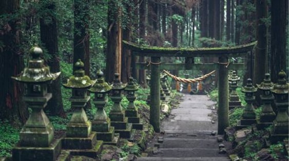 Fukuoka departure: Scenic Takachiho gorge + Amanoiwato shrine Nishi Hongu + Healing journey at Toiwa energy field