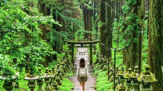 Fukuoka departure: Scenic Takachiho gorge + Amanoiwato shrine Nishi Hongu + Healing journey at Toiwa energy field