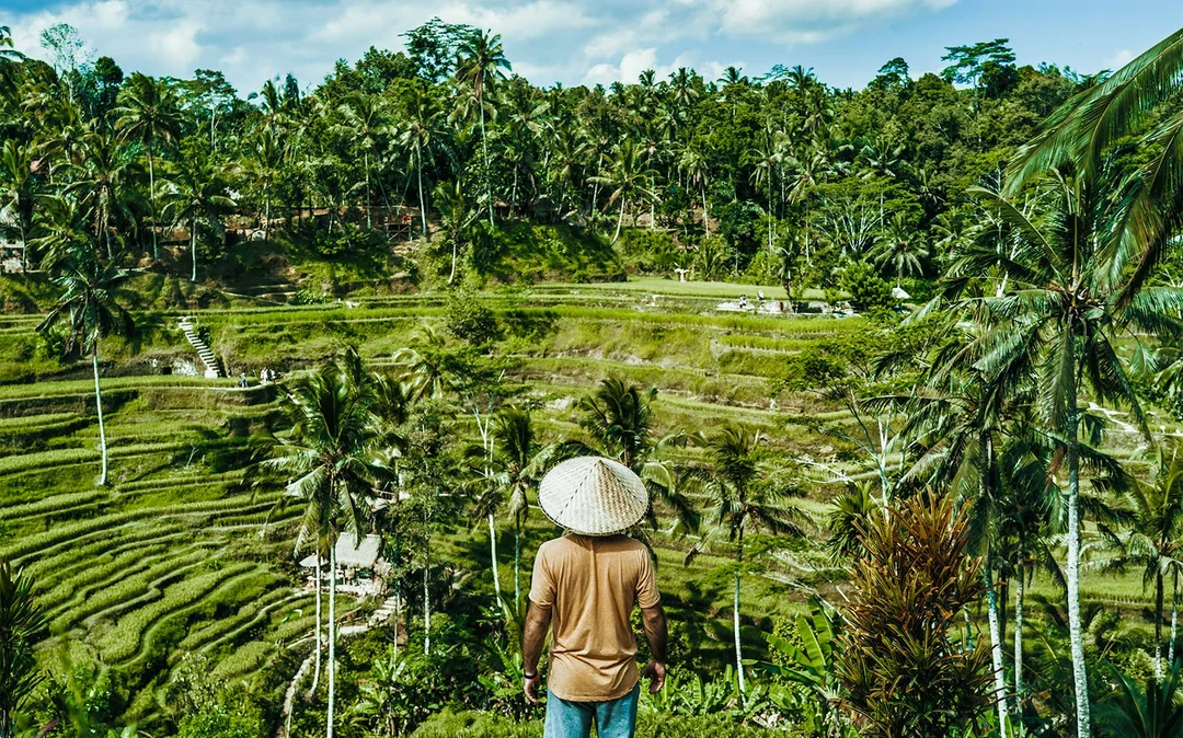 Full-Day Bali Instagram Tour: Lempuyang Temple, Goa Rajah Waterfall & More Image 2