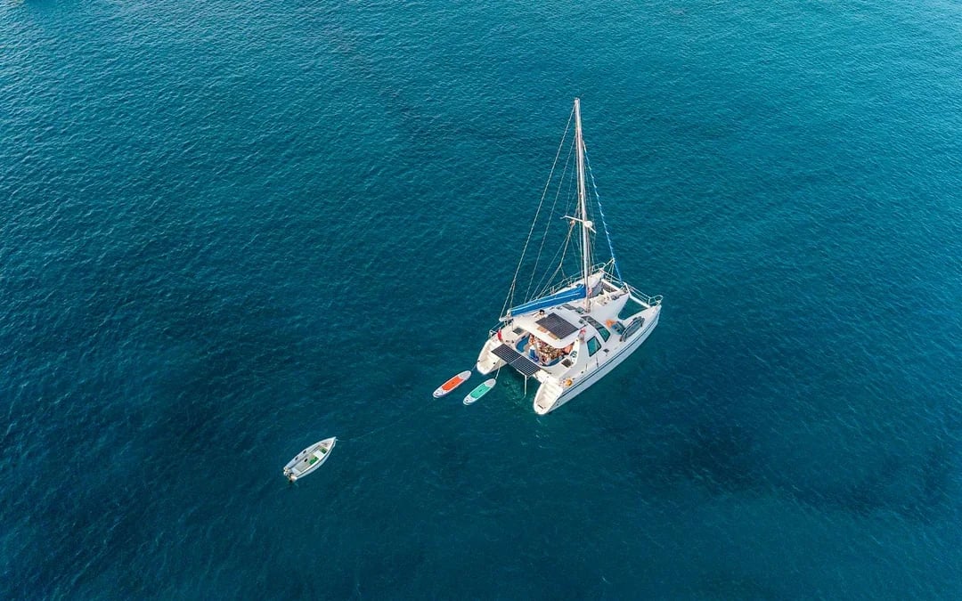 Full-Day Castaway Island Small Group Cruise by High Speed Catamaran including Lunch & Hotel Transfers Image 12