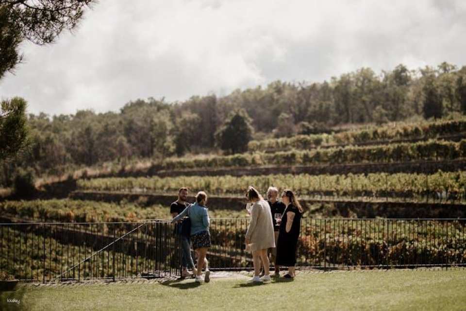 Full-day Etna 4x4 Excursion with Winery Lunch from Taormina
