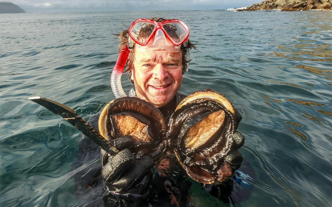 Full-Day Guided Cruise Tour in Tasmania with Seafood Lunch Image 3