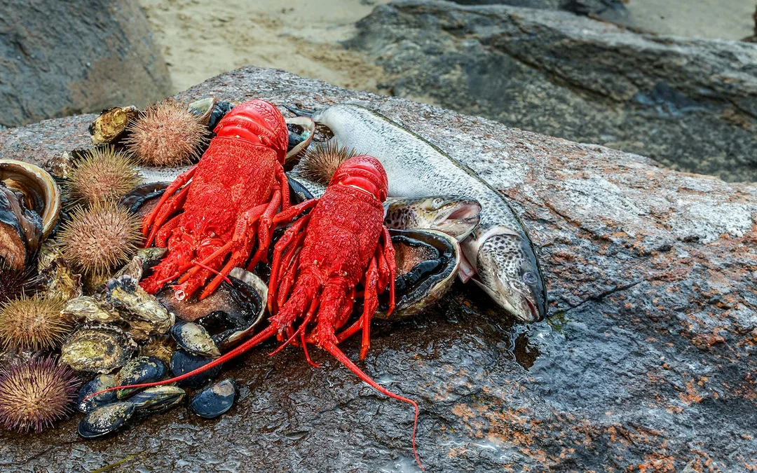 Full-Day Guided Cruise Tour in Tasmania with Seafood Lunch Image 5