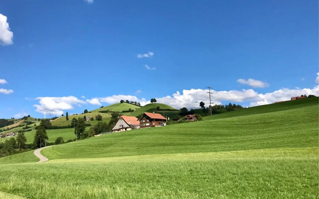 Full-Day Guided Tour of Bern from Zürich with Biscuit & Cheese Tasting Image 4