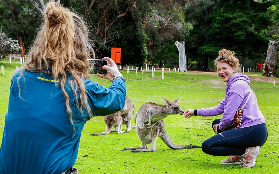 Full-Day Guided Tour of Grampians National Park with Hotel Transfers Image 2