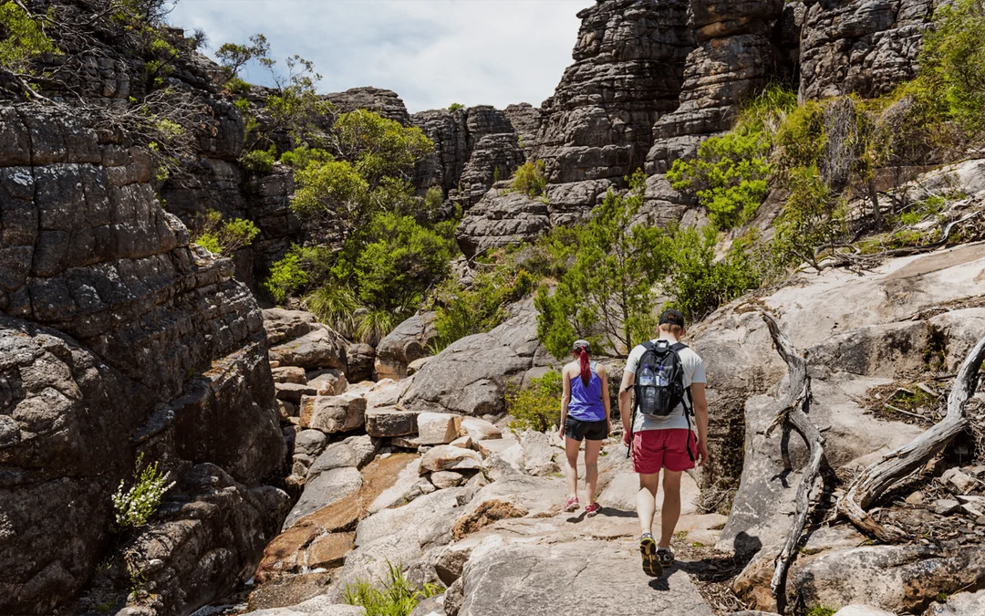 Full-Day Guided Tour of Grampians National Park with Hotel Transfers Image 3