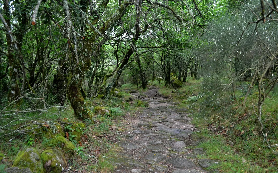 Full-Day Guided Tour of Peneda Gerês National Park with Round-Trip Transfers Image 3