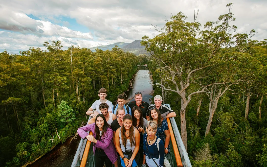 Full-Day Guided Tour of Tahune Airwalk & Hastings Caves Image 1