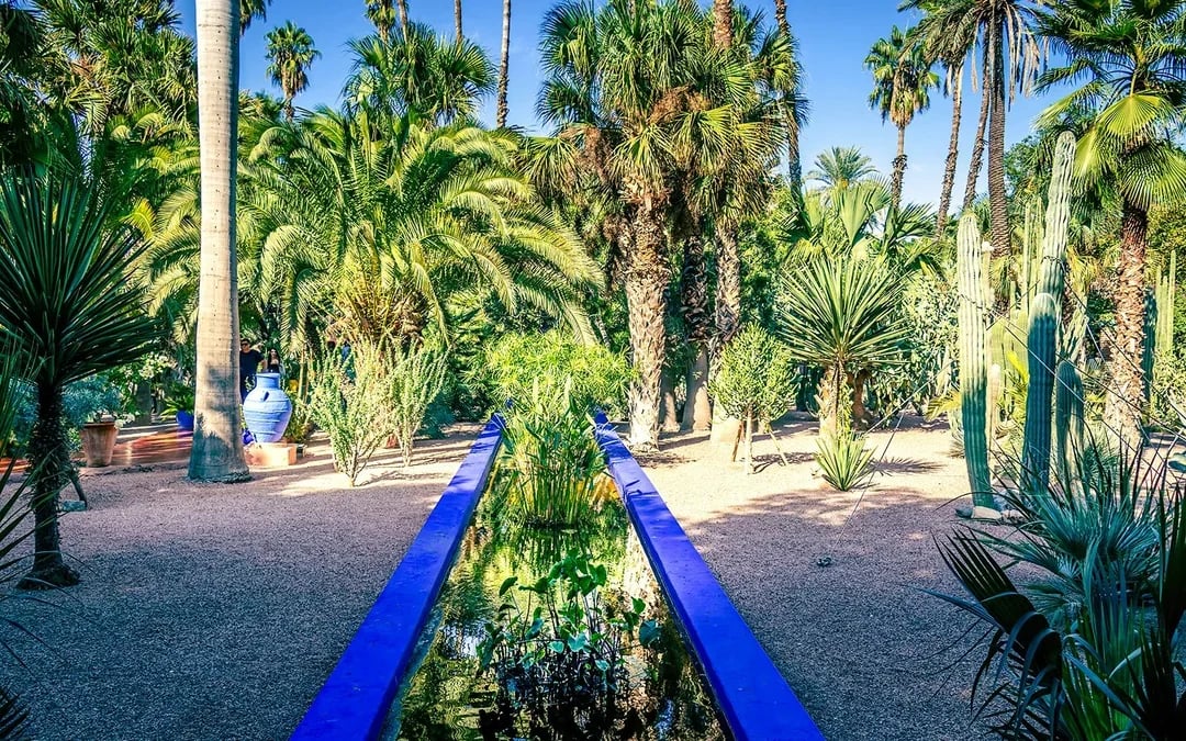 Full-Day Jardin Majorelle, Bahia Palace, Medrasa Ben Youssef and Medina Private Tour  Image 7