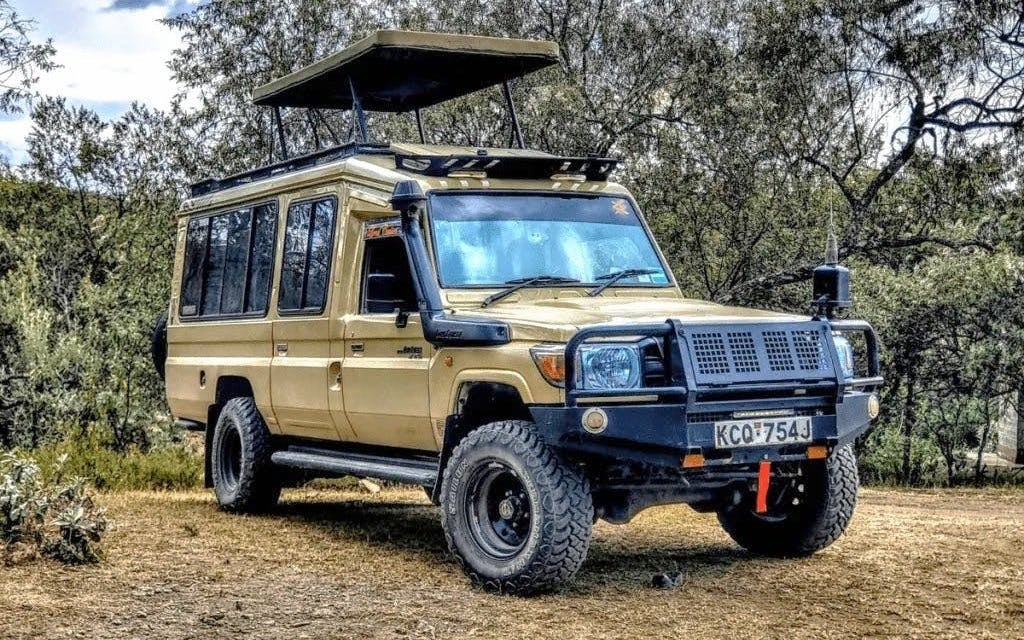 Full Day Nairobi National Park Tour with Game Drive, Elephant Orphanage, Giraffe Center & Hotel Transfers Image 2