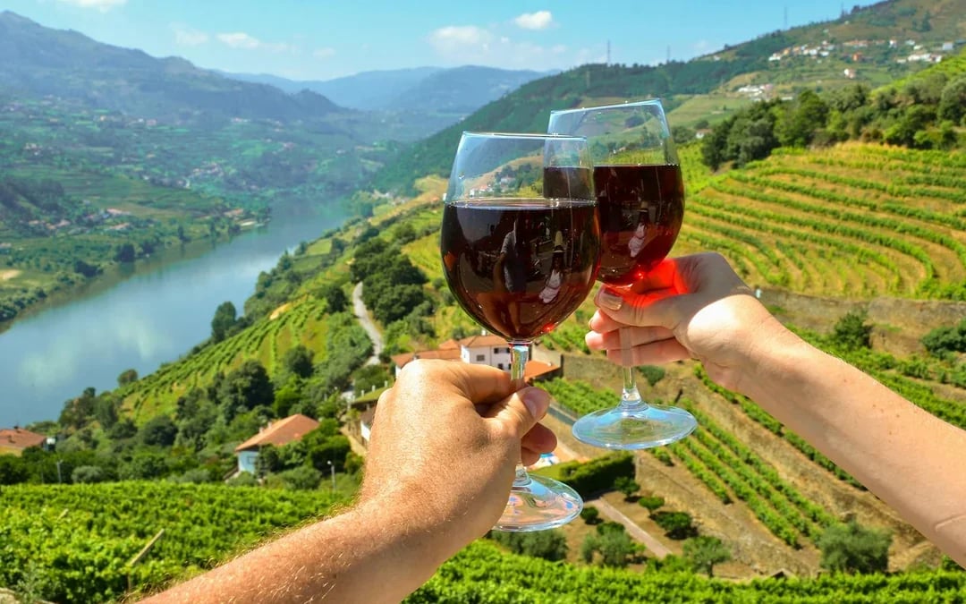 Full Day River Cruise to Douro Valley with Meals and Return Transfer Image 8
