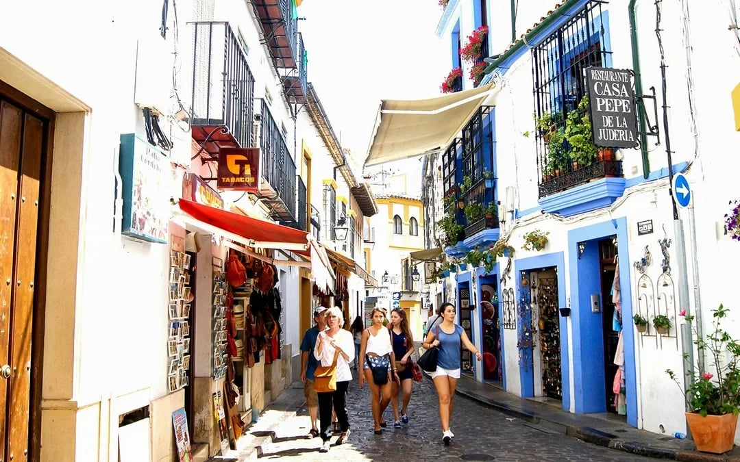 Full-Day Small Group Guided Tour of Cordoba from Seville Image 6
