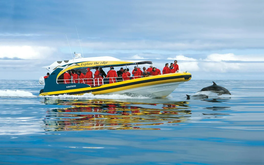 Full-Day Tasman Island Tour with Cruise and Lunch from Hobart Image 1