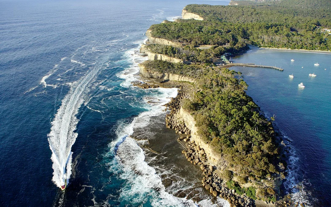 Full-Day Tasman Island Tour with Cruise and Lunch from Hobart Image 3